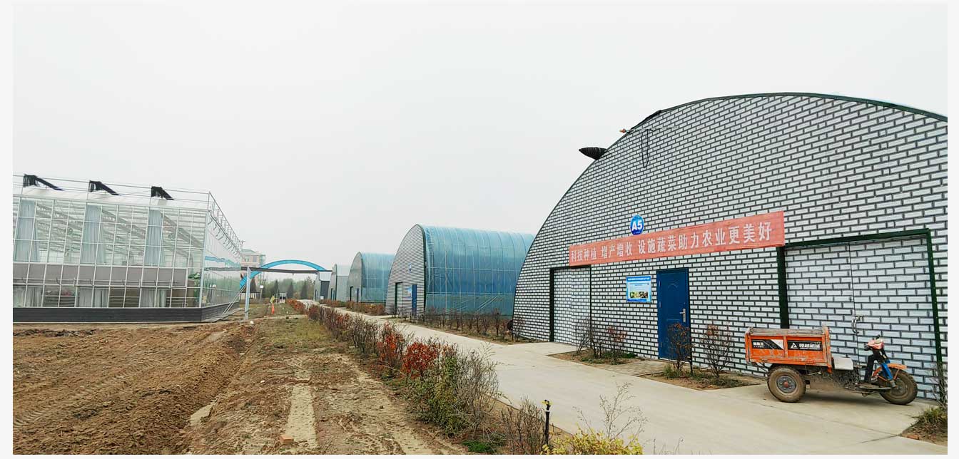 準(zhǔn)格爾旗現(xiàn)代智慧設(shè)施農(nóng)業(yè)產(chǎn)業(yè)園(網(wǎng)頁)_28.jpg 準(zhǔn)格爾旗現(xiàn)代智慧設(shè)施農(nóng)業(yè)產(chǎn)業(yè)園(網(wǎng)頁)_28.jpg