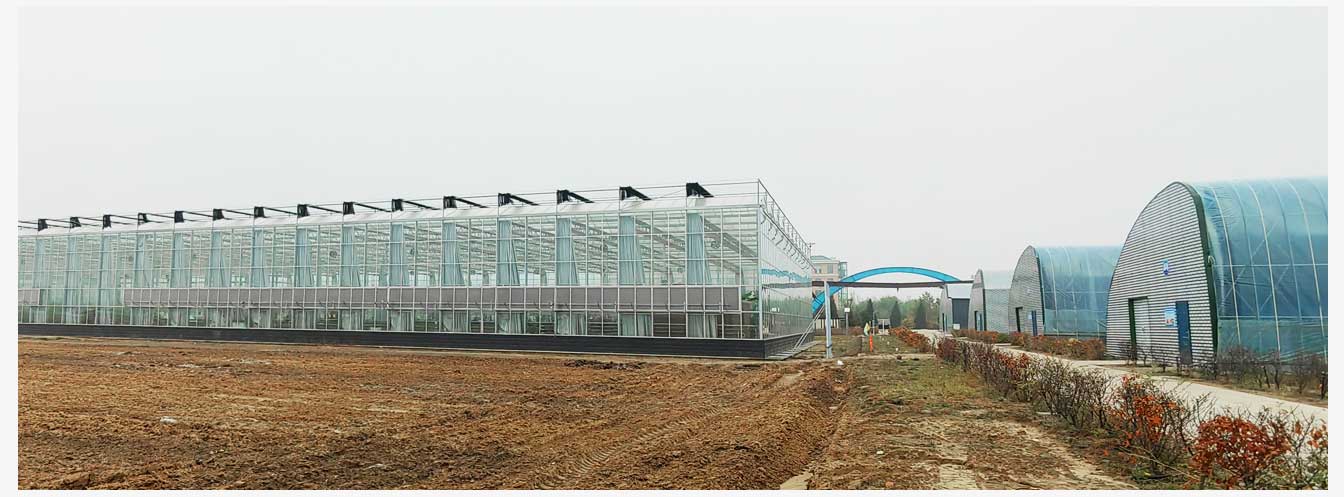 準(zhǔn)格爾旗現(xiàn)代智慧設(shè)施農(nóng)業(yè)產(chǎn)業(yè)園(網(wǎng)頁)_29.jpg 準(zhǔn)格爾旗現(xiàn)代智慧設(shè)施農(nóng)業(yè)產(chǎn)業(yè)園(網(wǎng)頁)_29.jpg