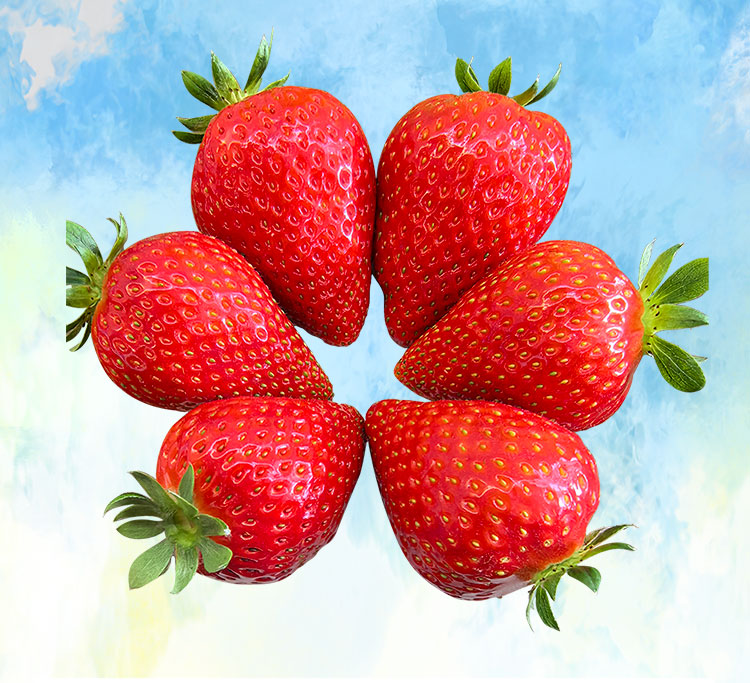 草莓1920網(wǎng)50像素2025年3月12日網(wǎng)頁(yè)_02.jpg 草莓1920網(wǎng)50像素2025年3月12日網(wǎng)頁(yè)_02.jpg