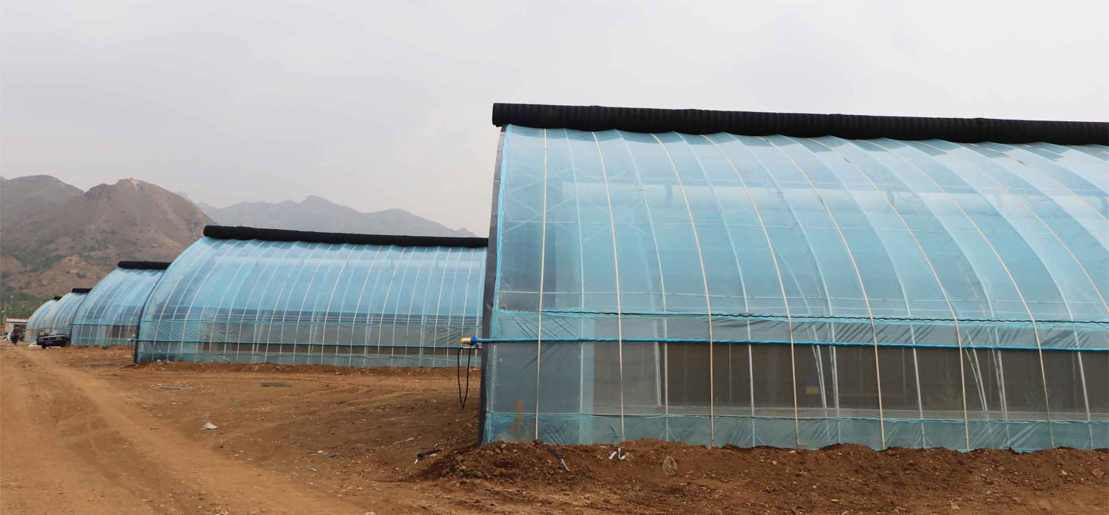 2、弧形溫室網頁_09.jpg 2、弧形溫室網頁_09.jpg