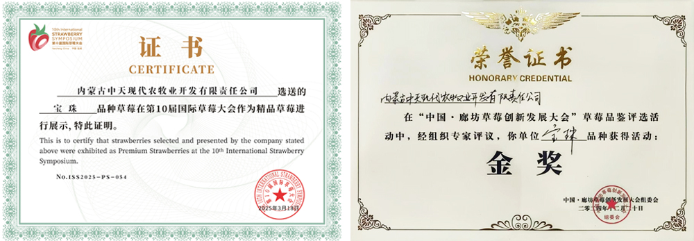 第10屆國際草大會作為精品草莓進行展示切.jpg